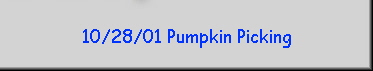 10/28/01 Pumpkin Picking