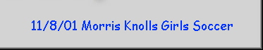 11/8/01 Morris Knolls Girls Soccer