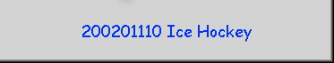 200201110 Ice Hockey