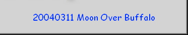 20040311 Moon Over Buffalo