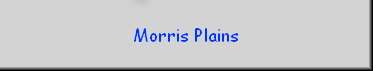 Morris Plains