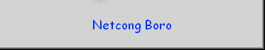 Netcong Boro